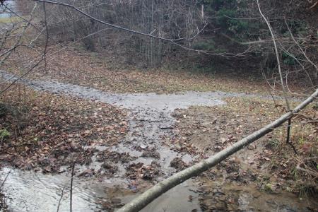 20211125_Divji_potok_Srednja_vas (3)